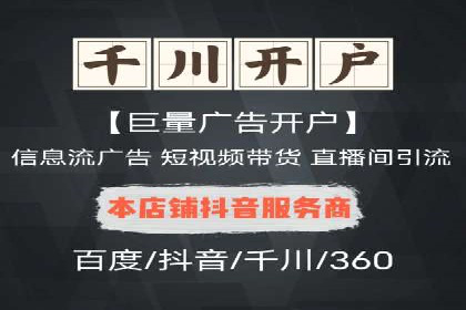百度SEO推广成功案例：品牌知名度提升